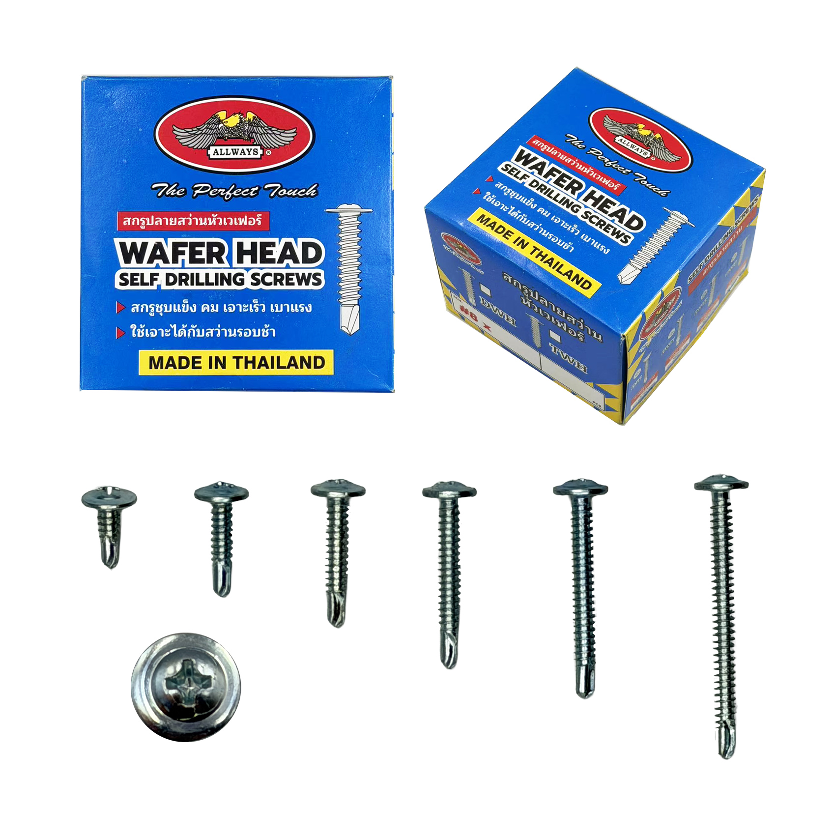 สกรูปลายสว่านหัวเวเฟอร์ (หัวร่ม)